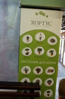 Побыть немного аптекарем