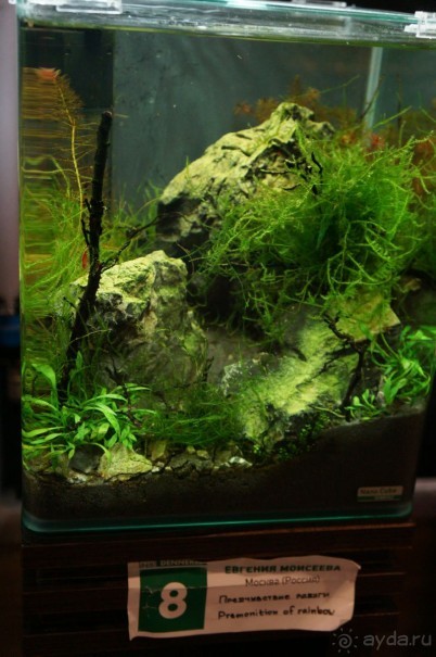 Побыть немного аптекарем