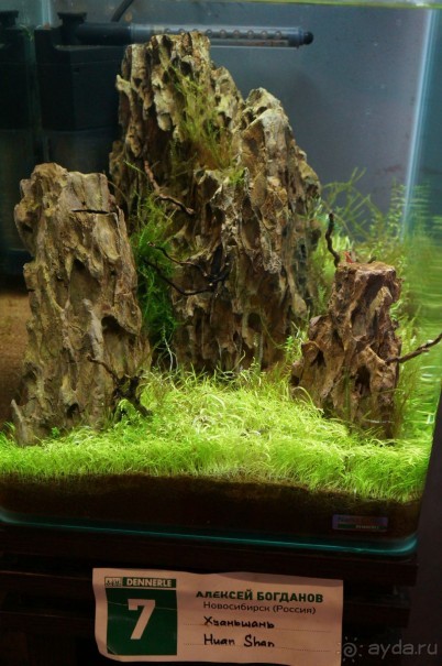 Побыть немного аптекарем