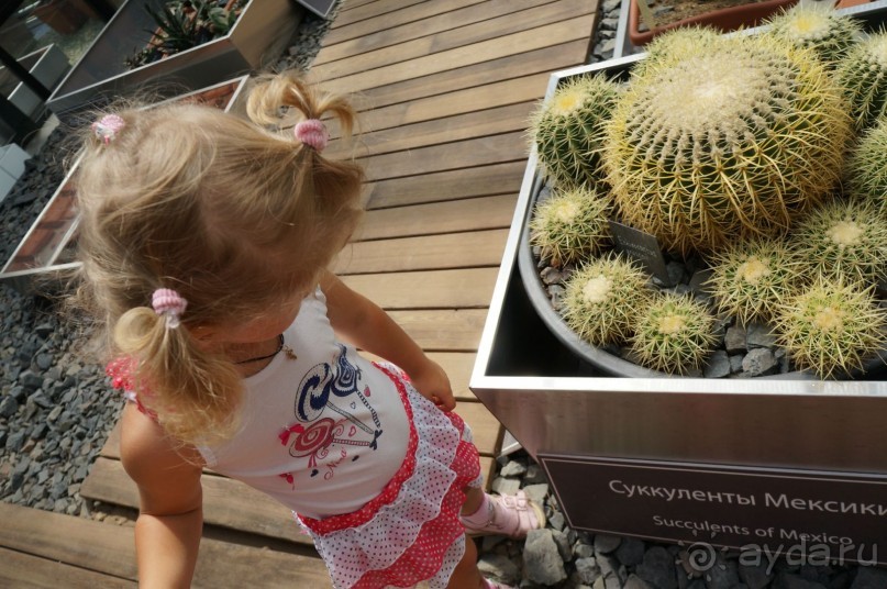 Побыть немного аптекарем