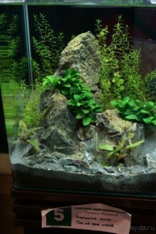 Побыть немного аптекарем