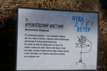 Побыть немного аптекарем