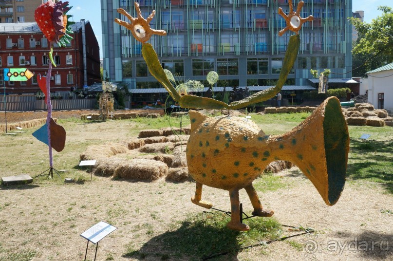 Побыть немного аптекарем