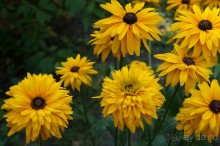 Побыть немного аптекарем