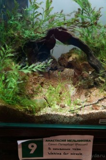 Побыть немного аптекарем