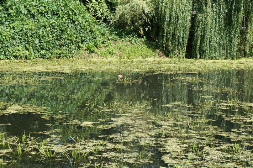 Побыть немного аптекарем