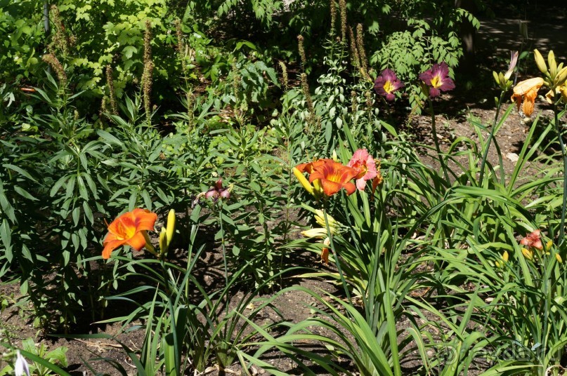 Побыть немного аптекарем