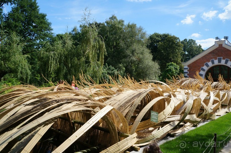 Побыть немного аптекарем