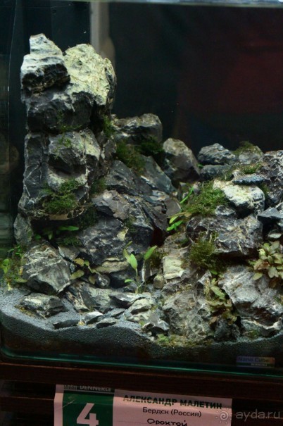 Побыть немного аптекарем