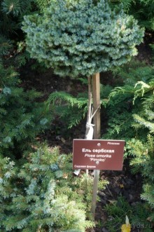 Побыть немного аптекарем