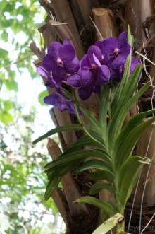 Побыть немного аптекарем