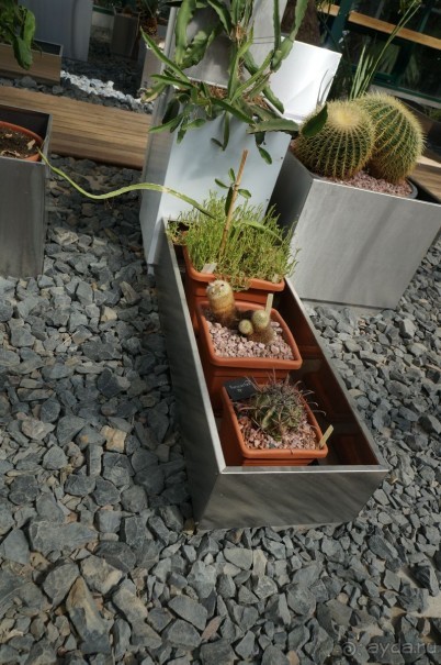 Побыть немного аптекарем