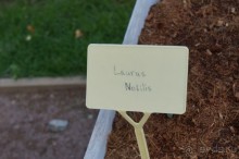 Побыть немного аптекарем