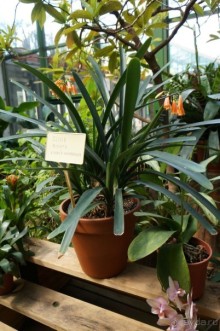 Побыть немного аптекарем