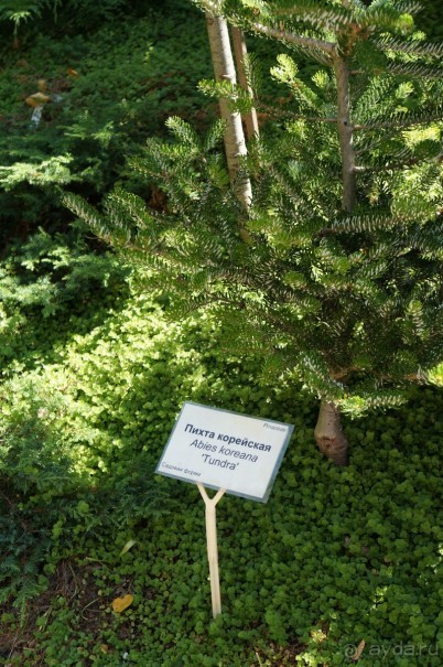 Побыть немного аптекарем