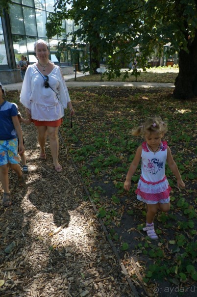 Побыть немного аптекарем