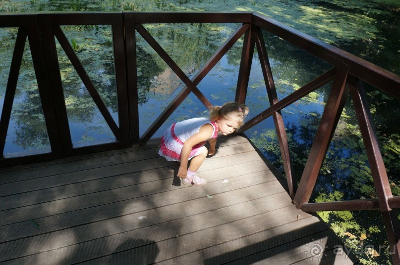 Побыть немного аптекарем