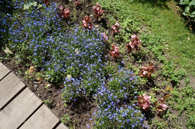 Побыть немного аптекарем