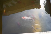 Побыть немного аптекарем