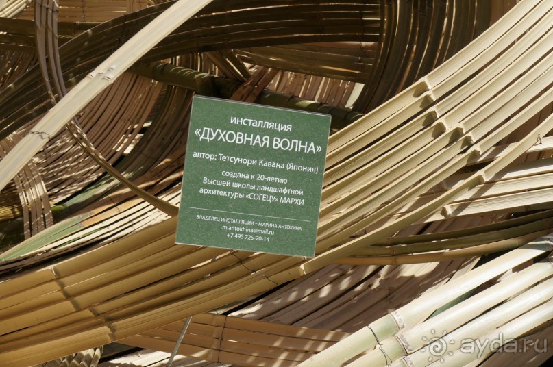 Побыть немного аптекарем