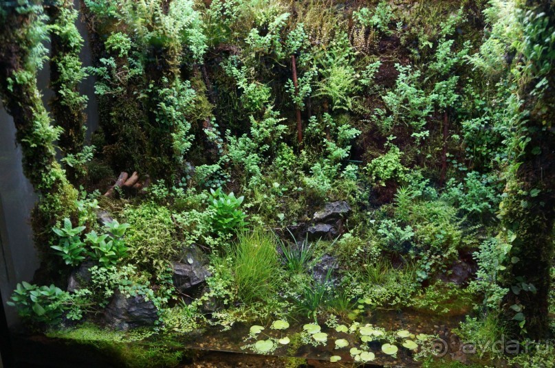 Побыть немного аптекарем