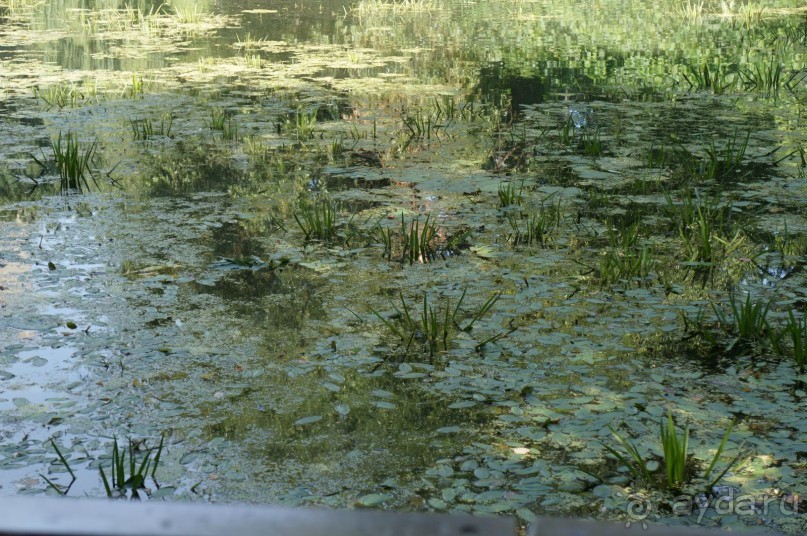 Побыть немного аптекарем