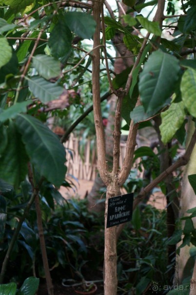 Побыть немного аптекарем