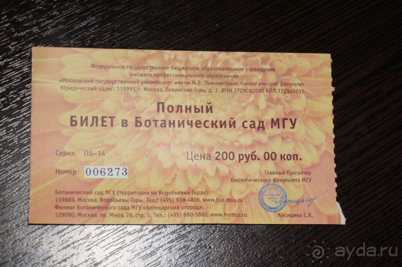 Побыть немного аптекарем