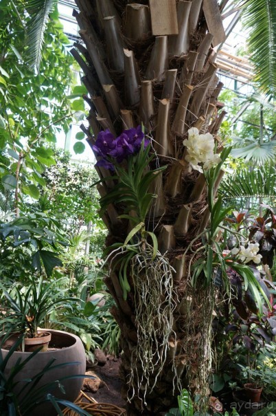 Побыть немного аптекарем