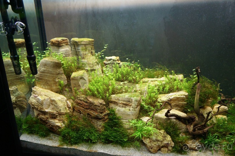 Побыть немного аптекарем