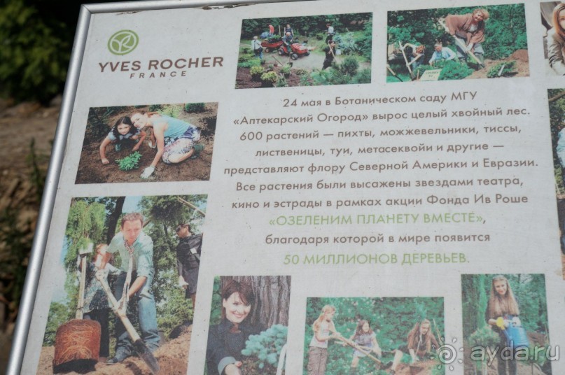 Побыть немного аптекарем