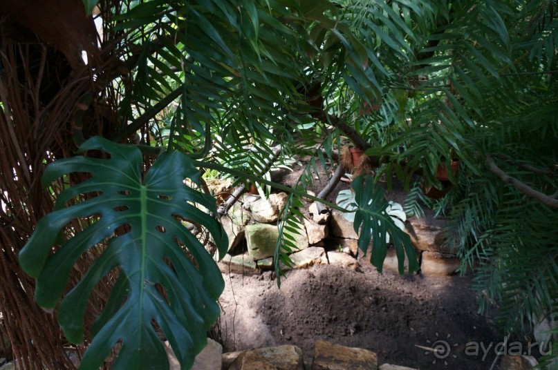 Побыть немного аптекарем