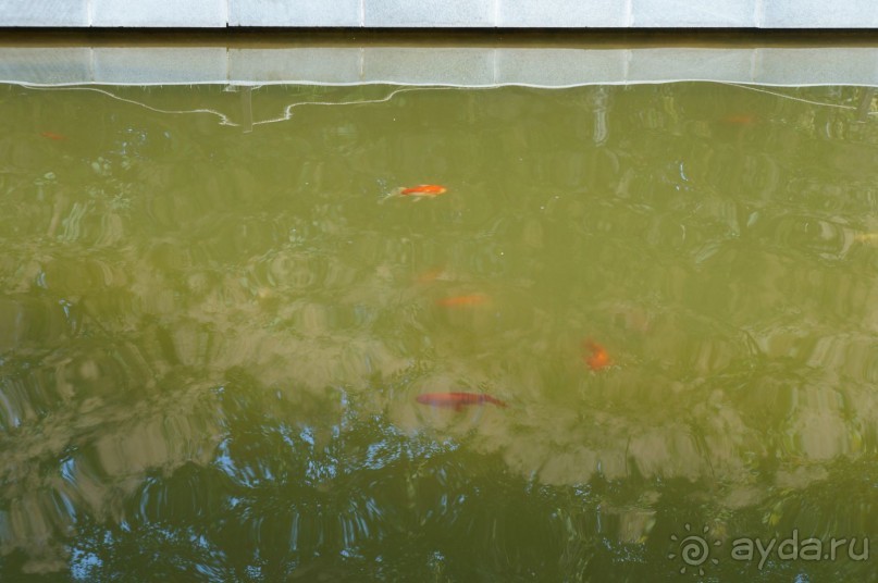 Побыть немного аптекарем