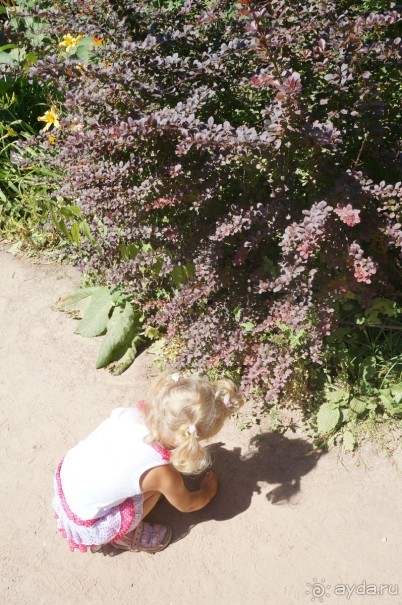 Побыть немного аптекарем