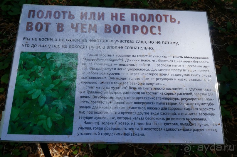 Побыть немного аптекарем