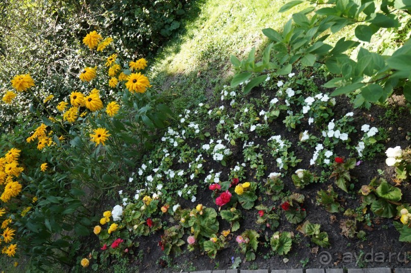 Побыть немного аптекарем