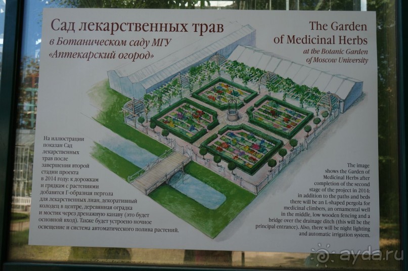 Побыть немного аптекарем