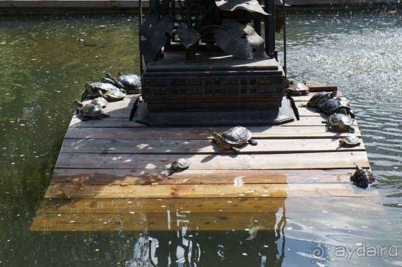 Побыть немного аптекарем