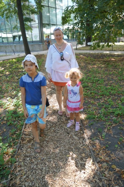 Побыть немного аптекарем