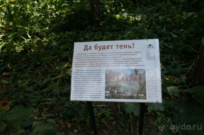 Побыть немного аптекарем