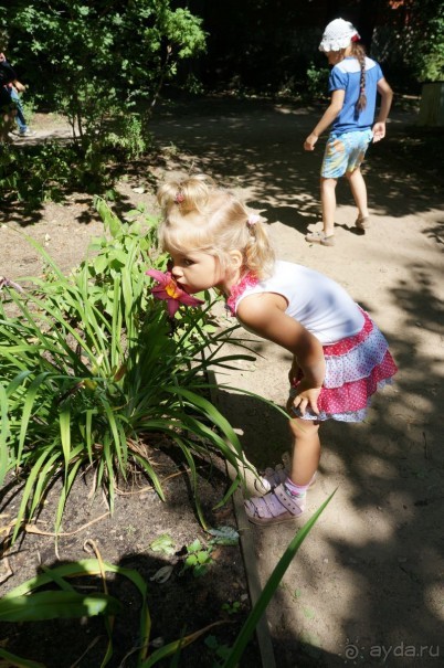 Побыть немного аптекарем