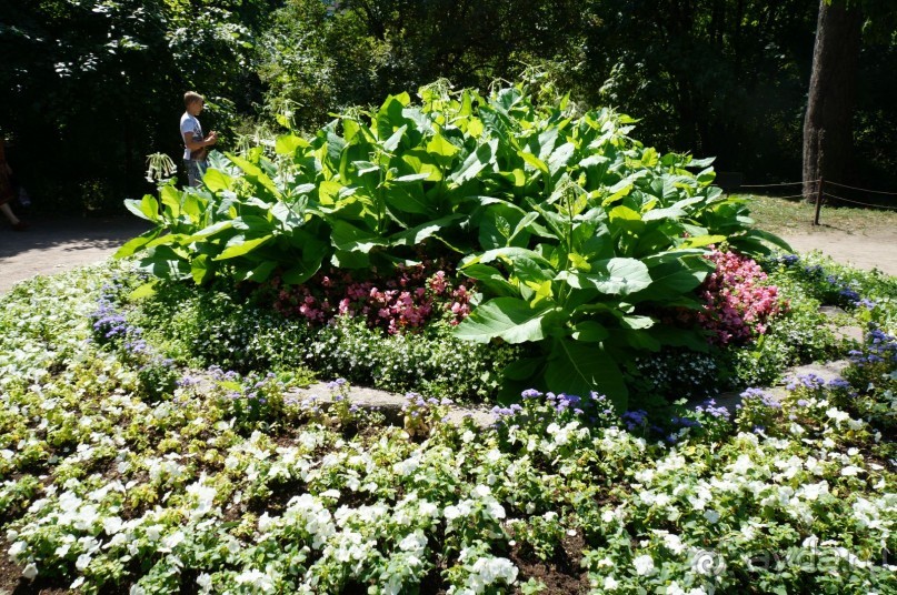 Побыть немного аптекарем