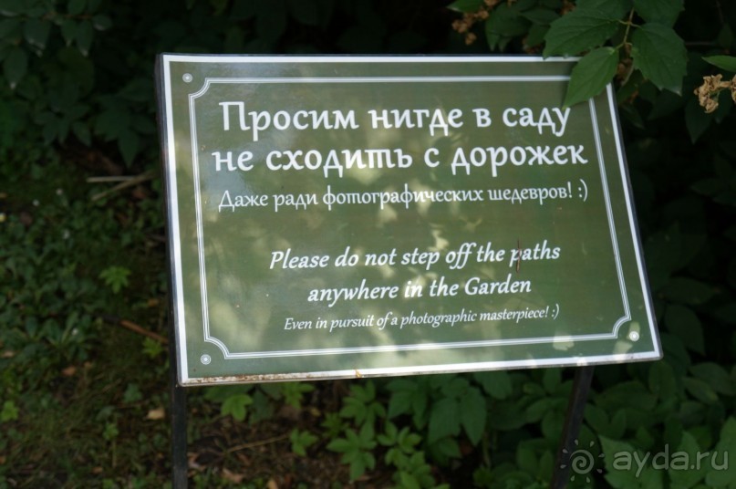 Побыть немного аптекарем