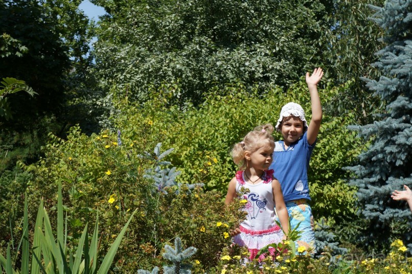 Побыть немного аптекарем