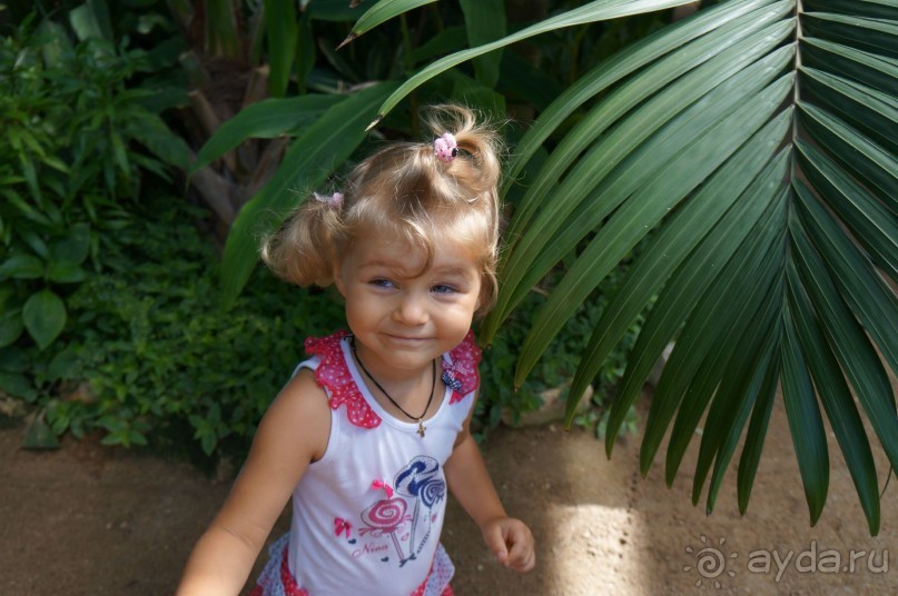 Побыть немного аптекарем