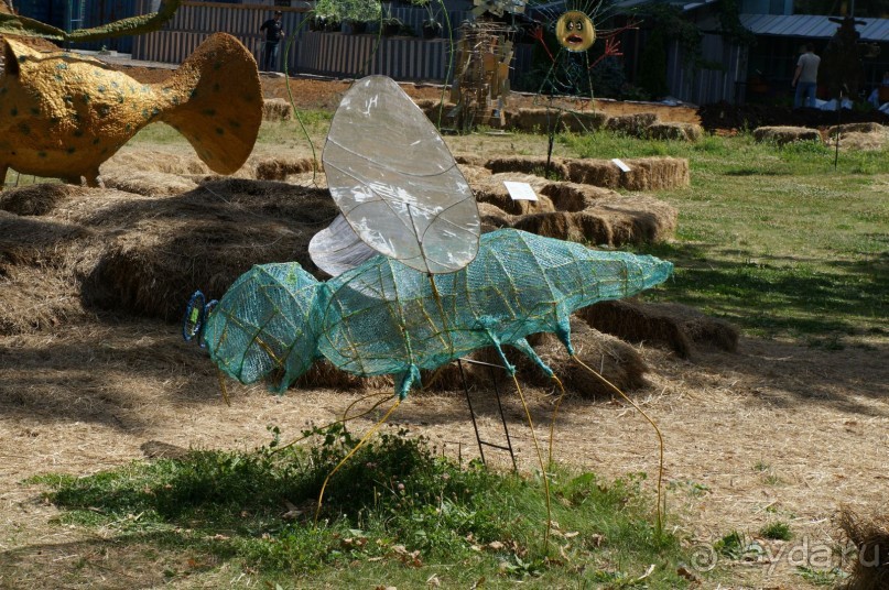 Побыть немного аптекарем