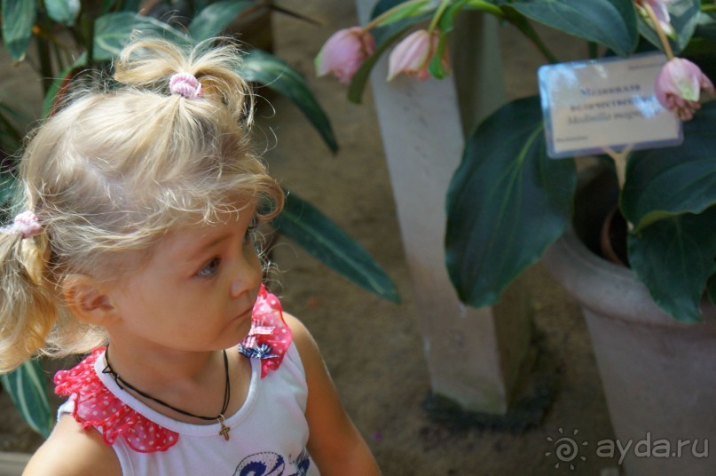 Побыть немного аптекарем