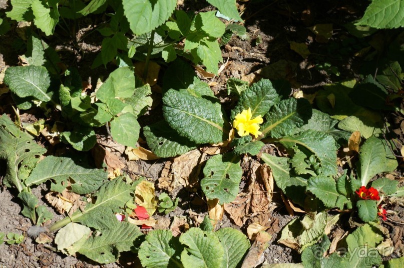 Побыть немного аптекарем