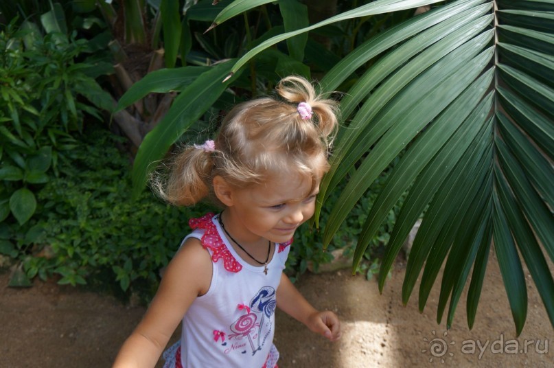 Побыть немного аптекарем