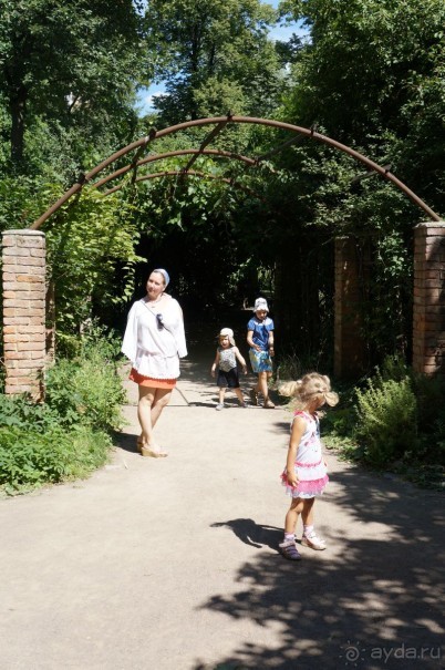 Побыть немного аптекарем